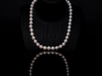 17.5" South Sea White Pearl Necklace | AAAAA Grade | 14K (white-gold) Clasp [cn012]