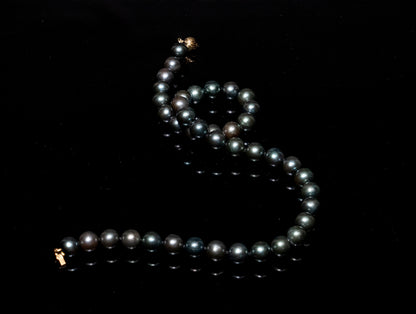 16" Tahitian Grey-Green Pearl Necklace | AAAA Grade | 14K Clasp [cnT030]