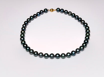 16" Tahitian Grey-Green Pearl Necklace | AAAA Grade | 14K Clasp [cnT030]