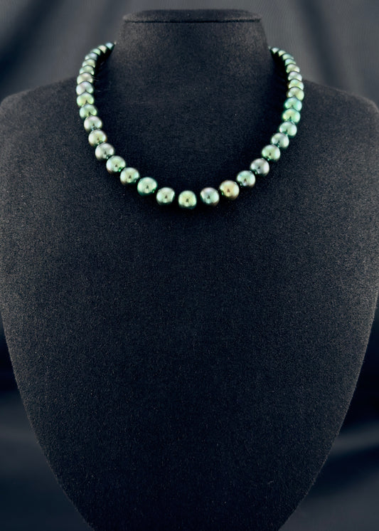 Cultured, Tahitian dark-pistachio pearl necklace, exhibited on black suede, excellent reflection, 9-10mm, 16", yellow gold clasp.