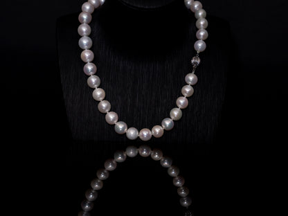 18" South Sea White Pearl Necklace | AAAAA Grade | 14K (white-gold) Clasp [cn010]