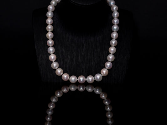 18" South Sea White Pearl Necklace | AAAAA Grade | 14K (white-gold) Clasp [cn010]