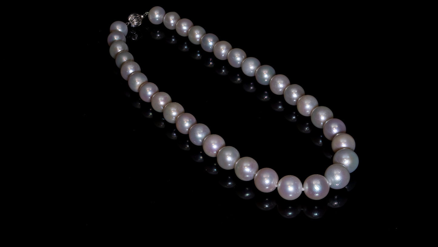 18" South Sea White Pearl Necklace | AAAAA Grade | 14K (white-gold) Clasp [cn010]
