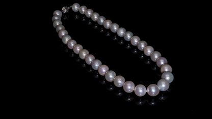 18" South Sea White Pearl Necklace | AAAAA Grade | 14K (white-gold) Clasp [cn010]
