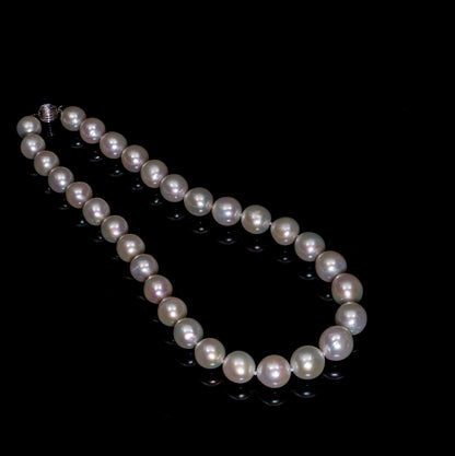 16"South Sea Baroque White Necklace | TOP Grade | 14K [cn096]