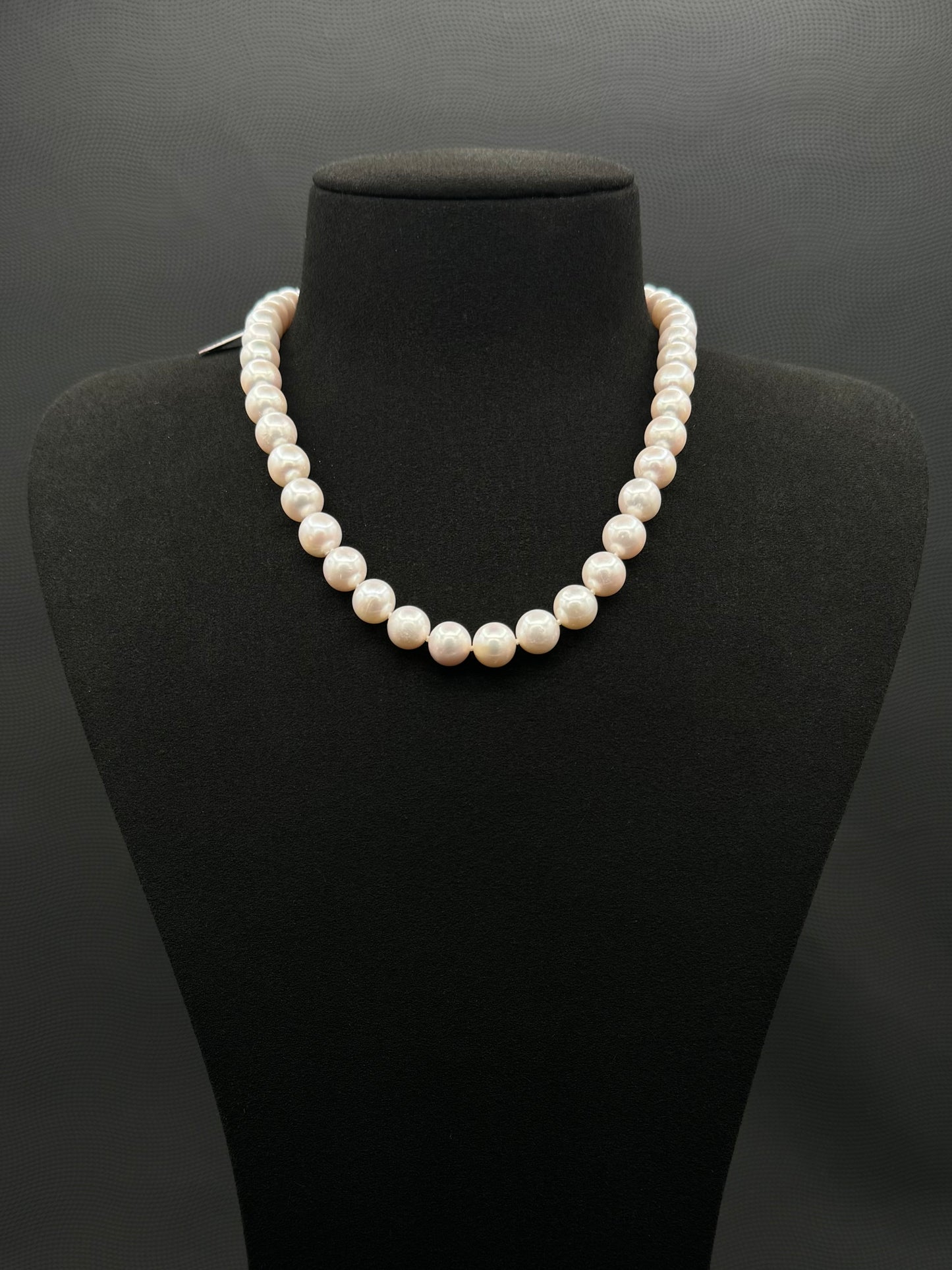 16" South Sea White Pearl Necklace | AAAAA Excellent Grade | 14K White Gold