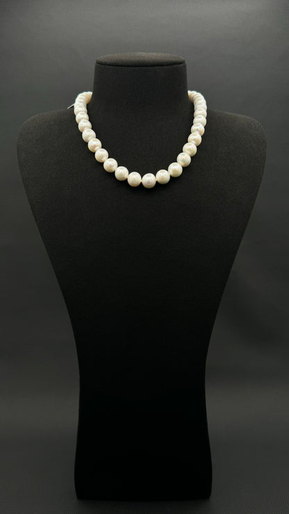 16" South Sea White Pearl Necklace | AAAAA Excellent Grade | 14K White Gold