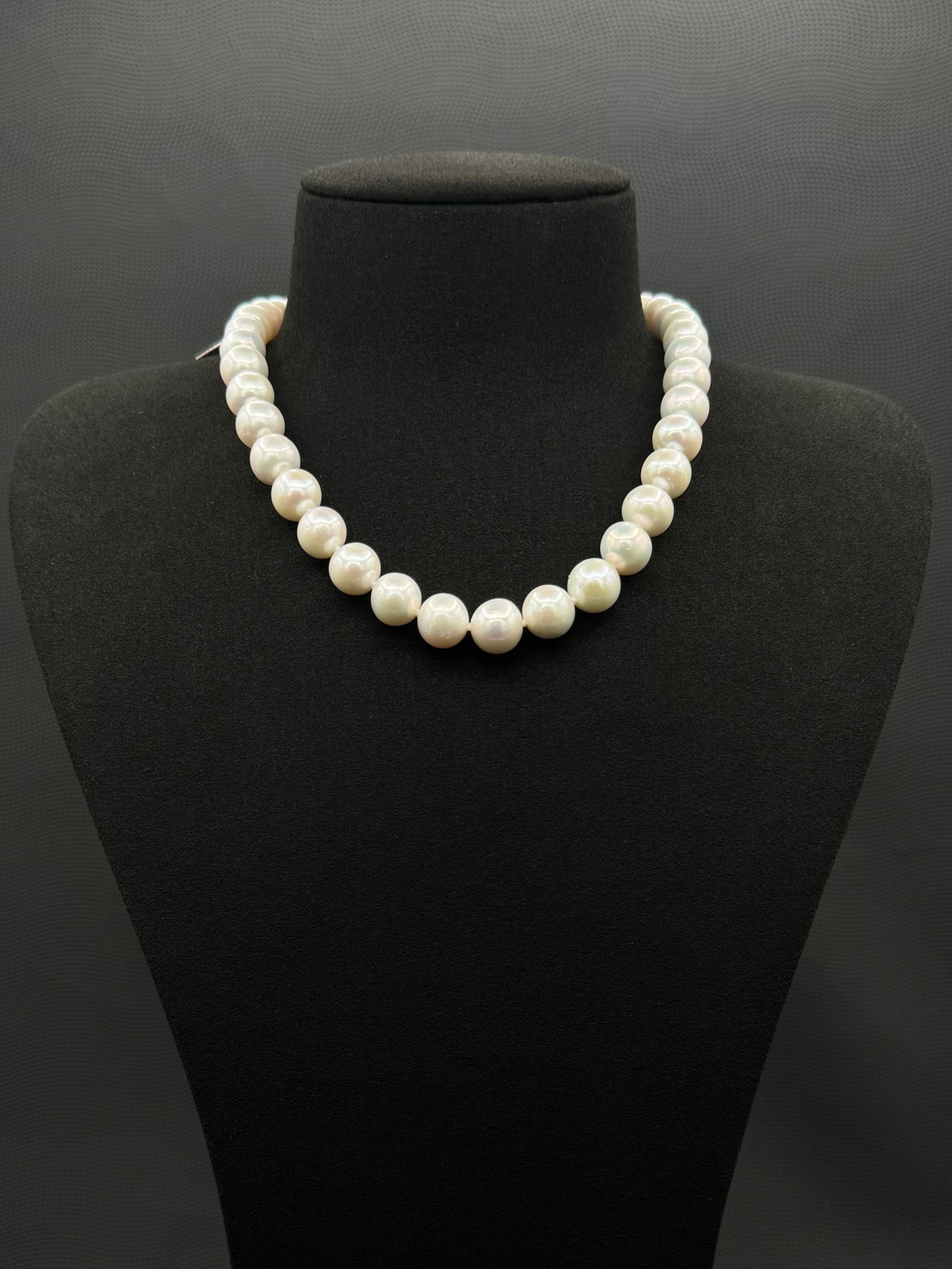 16" South Sea White Pearl Necklace | AAAAA Excellent Grade | 14K White Gold