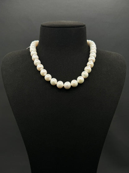 16" South Sea White Pearl Necklace | AAAAA Excellent Grade | 14K White Gold