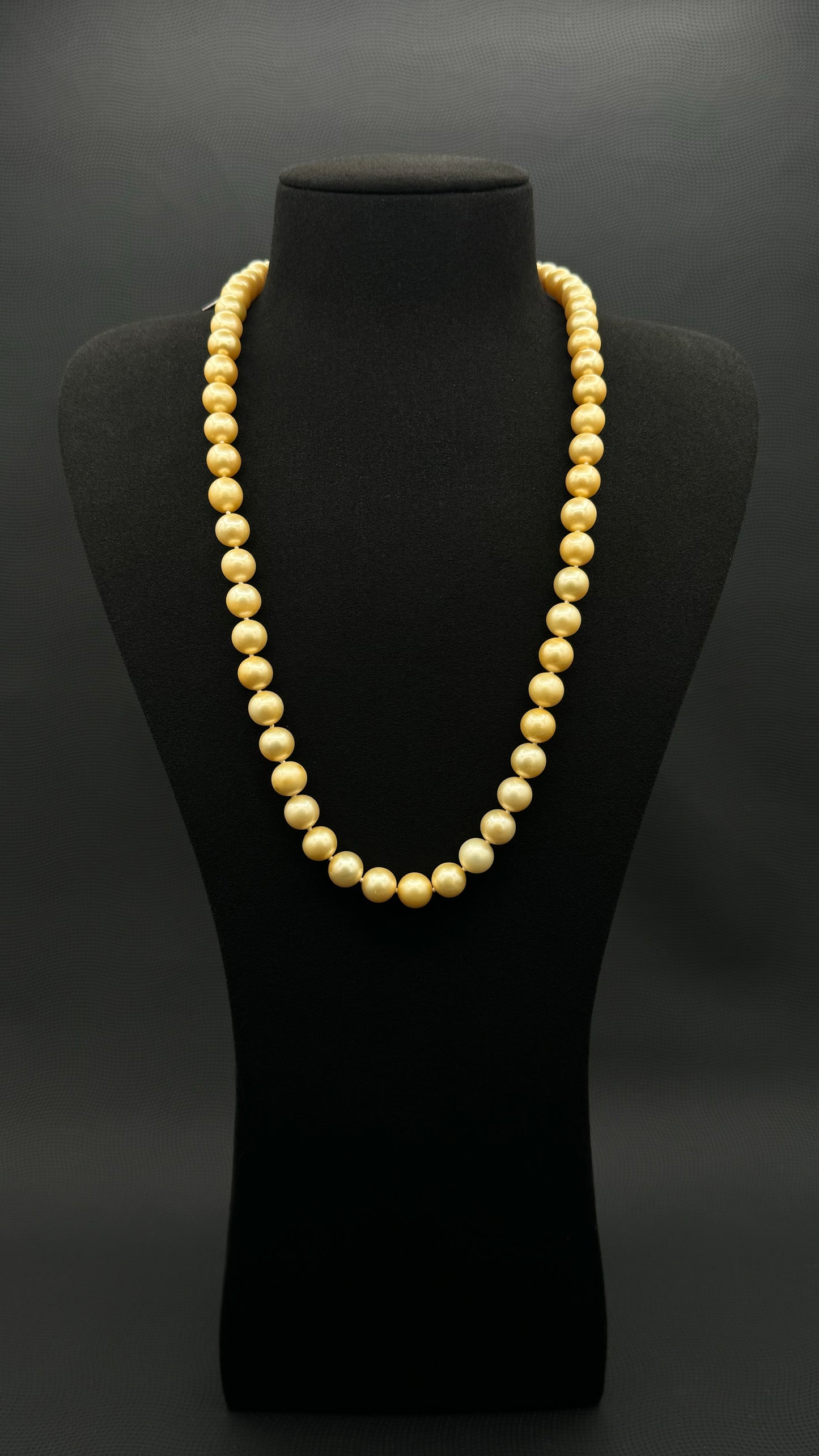 23.5" South Sea Natural Lemon Chiffon Pearl Necklace | AAA Standard Grade | No Clasp