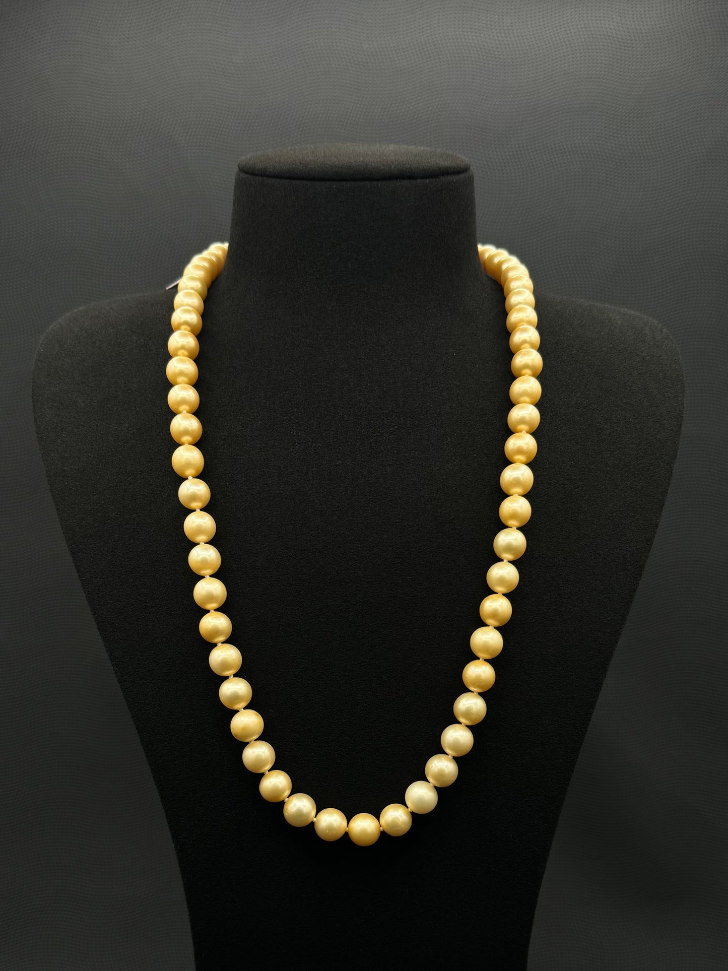 23.5" South Sea Natural Lemon Chiffon Pearl Necklace | AAA Standard Grade | No Clasp