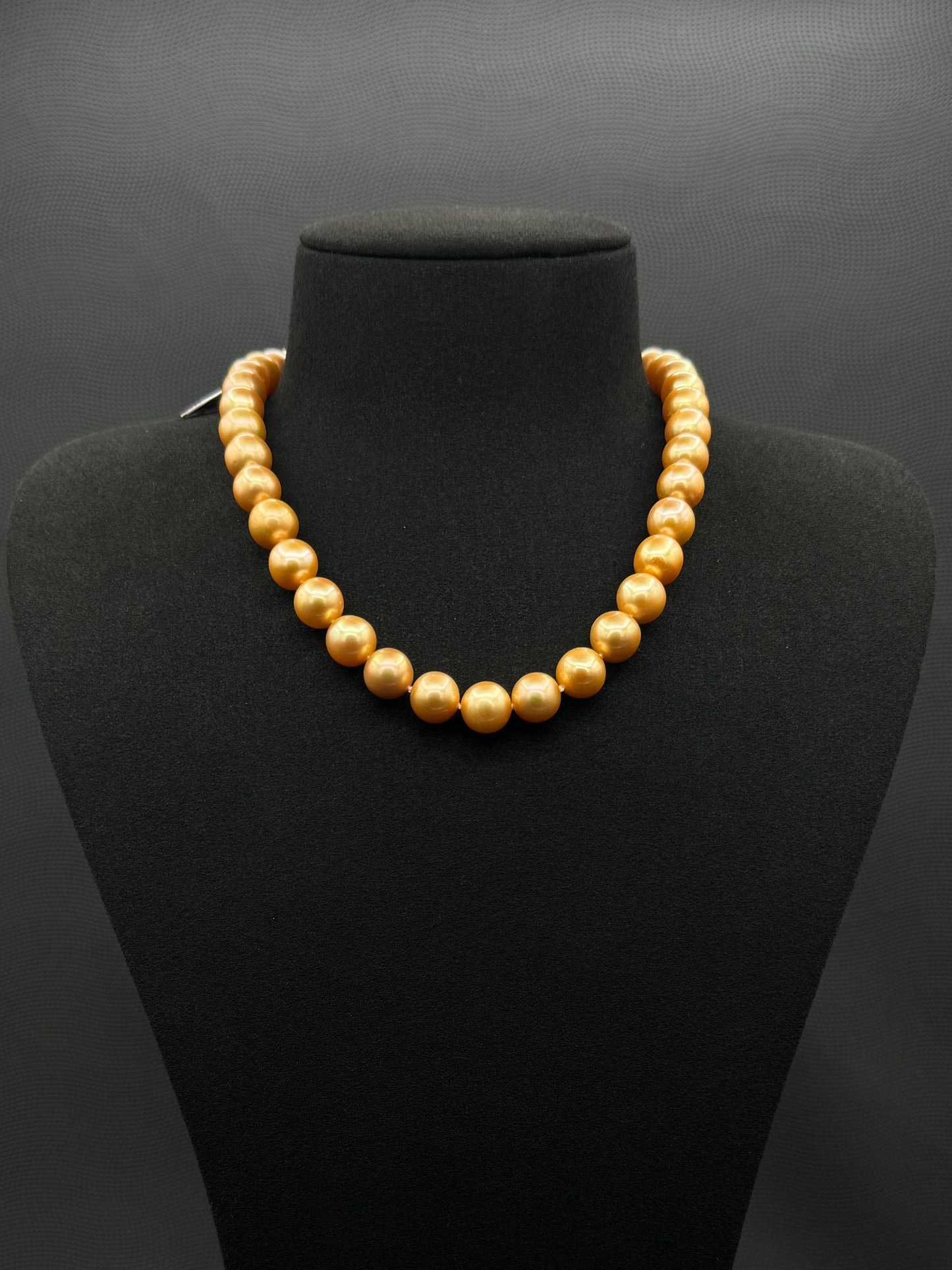 16" South Sea Deep Gold Pearl Necklace | AAAA Superb Grade | 14K Gold