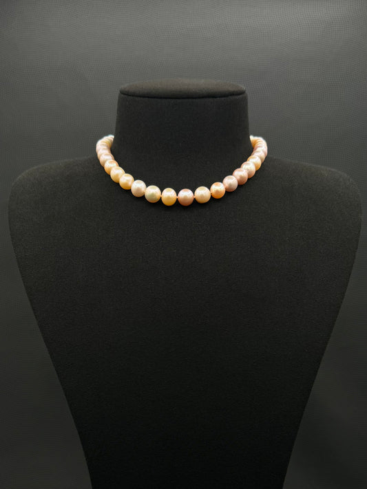 13" South Sea Mixed Soft Blush Pearl Choker | A Fair Grade | Sterling Silver