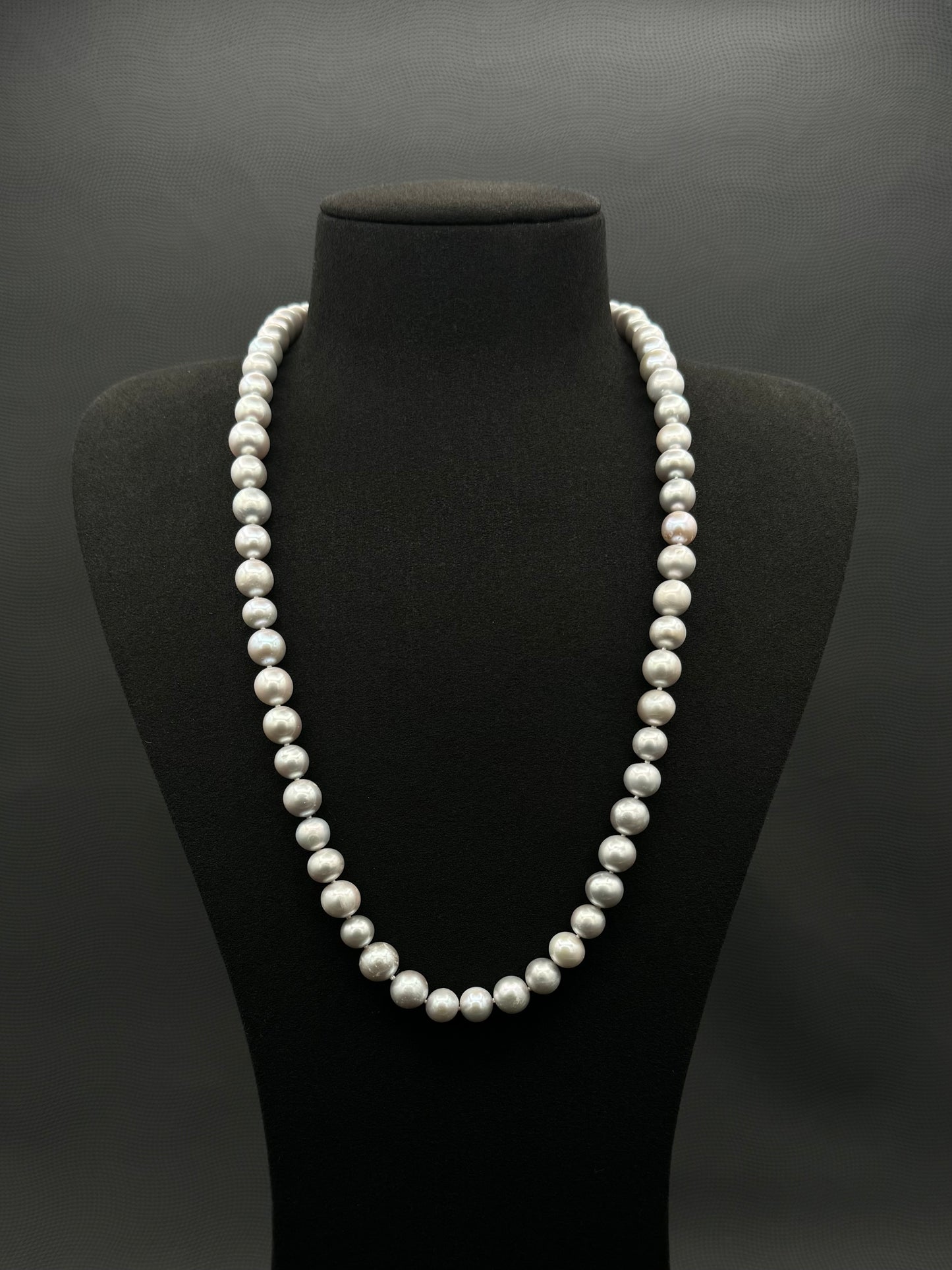 24" South Sea Silver Pearl Necklace | A Fair Grade | No Clasp