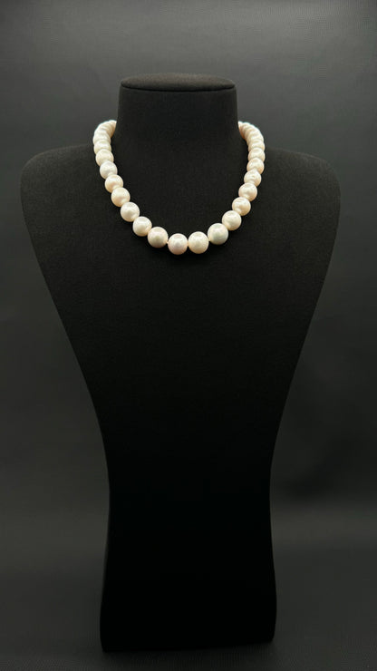 16.25" South Sea White Pearl Necklace | A Fair Grade | Sterling Silver