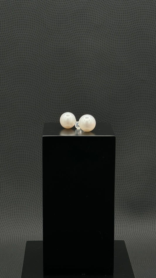 South Sea White Stud Pearl Earring | TOP (Pinnacle) Grade | 18K White | 11.5-12mm