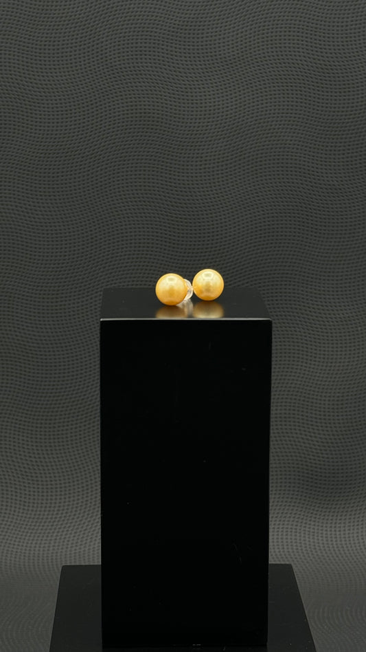 South Sea Deep Gold Stud Pearl Earring | AAA (Standard) Grade | 18K Gold | 9.5mm