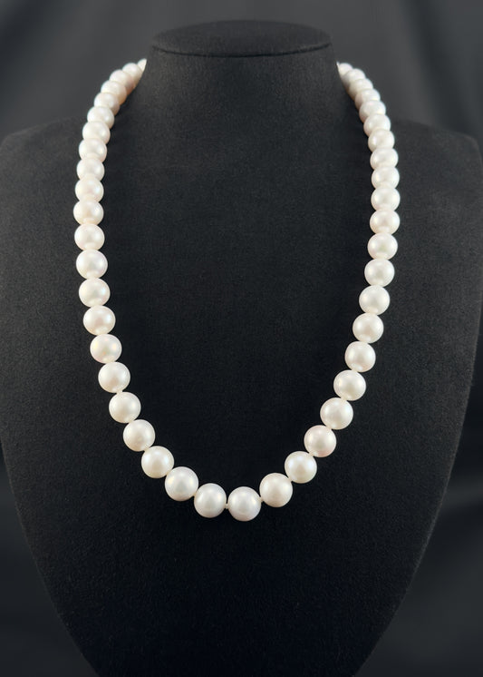 Cultured, South Sea, white pearl strand necklace, exhibited on black suede, excellent reflection, 9.5-11mm, 21.5", white gold clasp.