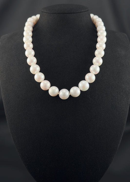 Cultured, South Sea white pearl strand necklace, exhibited on black suede, excellent reflection, 13-14.5mm, 18", white gold clasp.