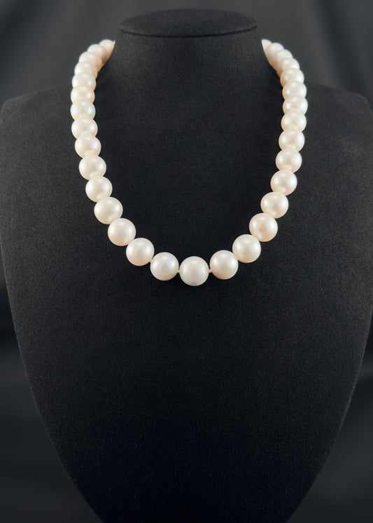 Cultured, South Sea white pearl strand necklace, exhibited on black suede, excellent reflection, 12-14.mm, 18", white gold clasp.