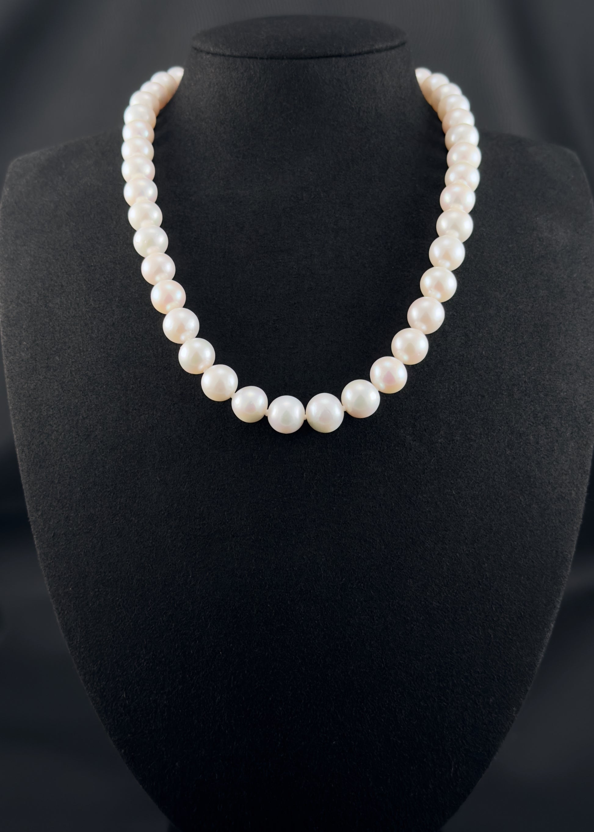 Cultured, South Sea, white pearl necklace, exhibited on black suede, excellent reflection, 10.5-12mm, 17.5", 14k white gold clasp.