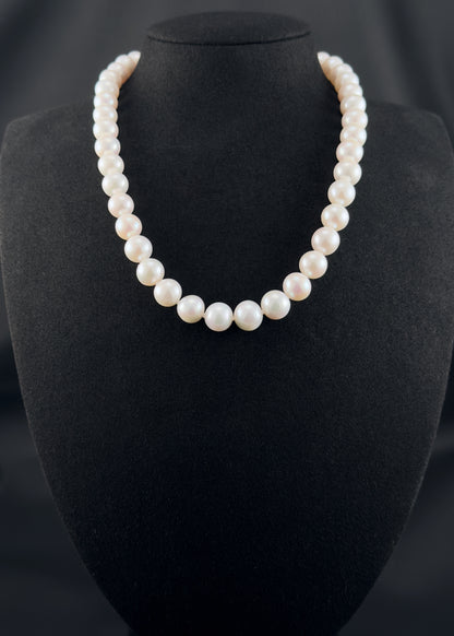 Cultured, South Sea, white pearl necklace, exhibited on black suede, excellent reflection, 10.5-12mm, 17.5", 14k white gold clasp.