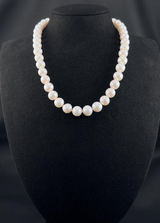 Cultured, South Sea, white pearl necklace, exhibited on black suede, excellent reflection, 10.5-12mm, 17.5", 14k white gold clasp.