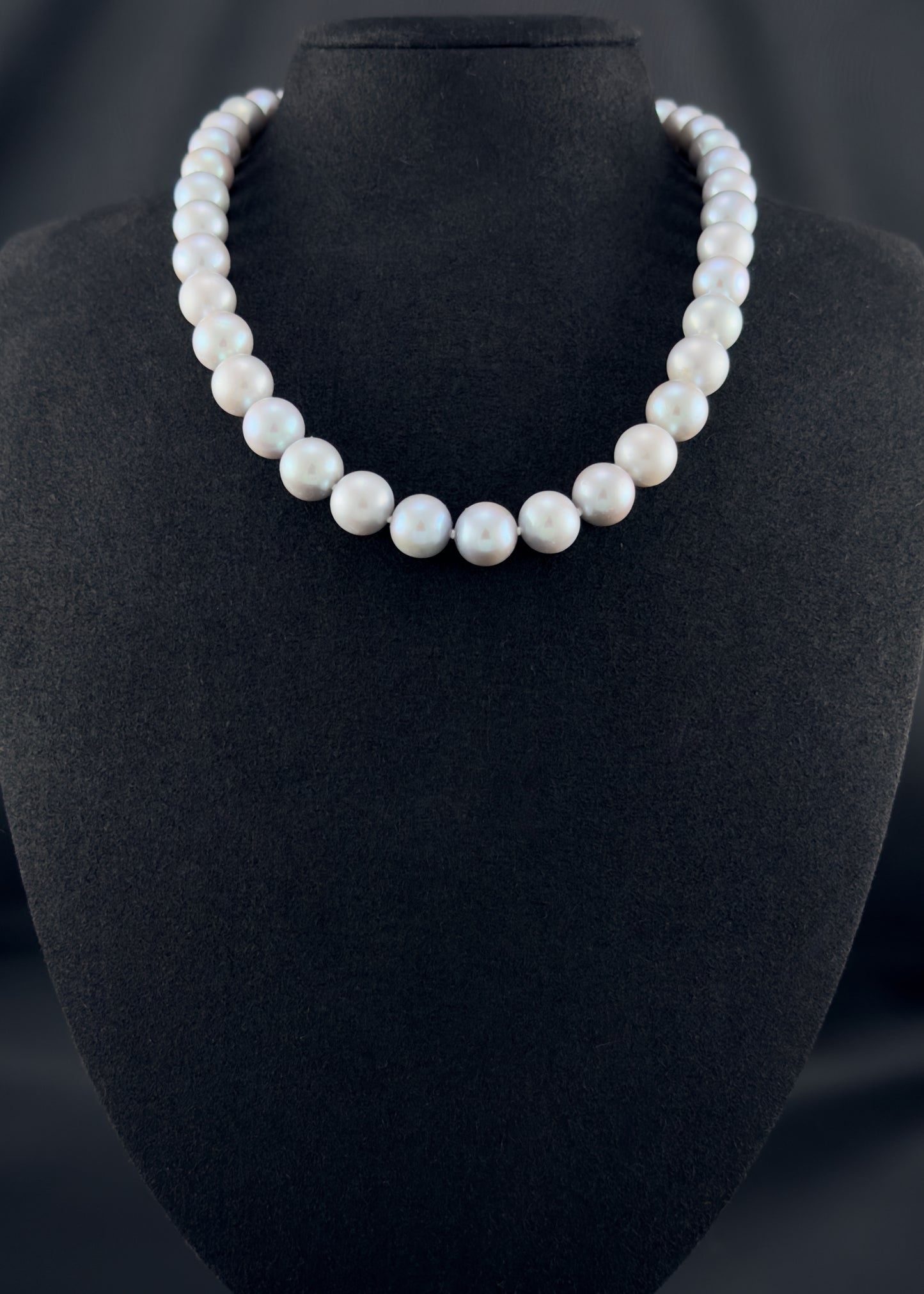 Cultured, South Sea soft grey pearl strand necklace, exhibited on black suede, sound reflection, 10.5-11mm, 18", white gold clasp.