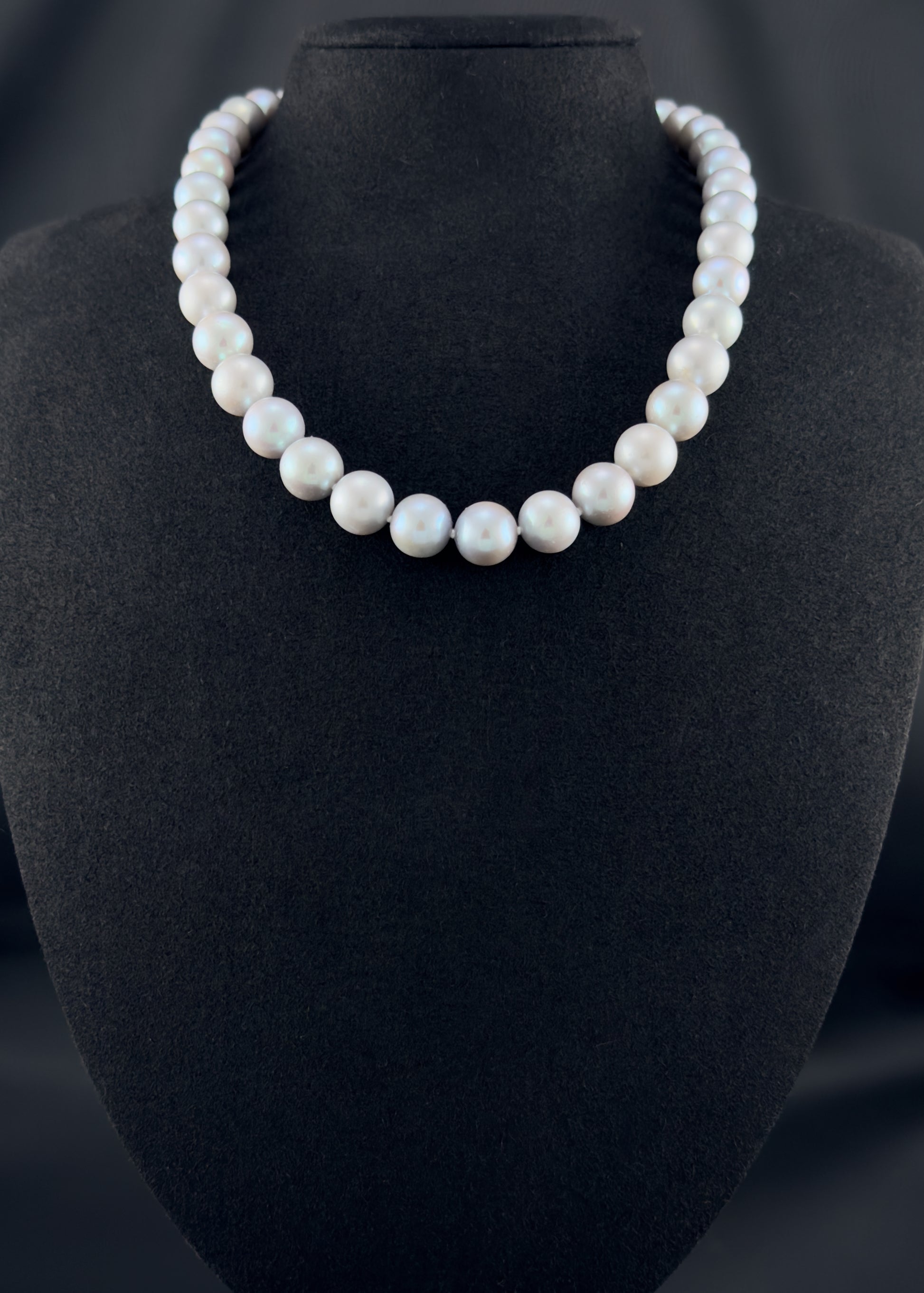 Cultured, South Sea soft grey pearl strand necklace, exhibited on black suede, sound reflection, 10.5-11mm, 18", white gold clasp.