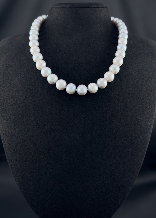 Cultured, South Sea soft grey pearl strand necklace, exhibited on black suede, sound reflection, 10.5-11mm, 18", white gold clasp.