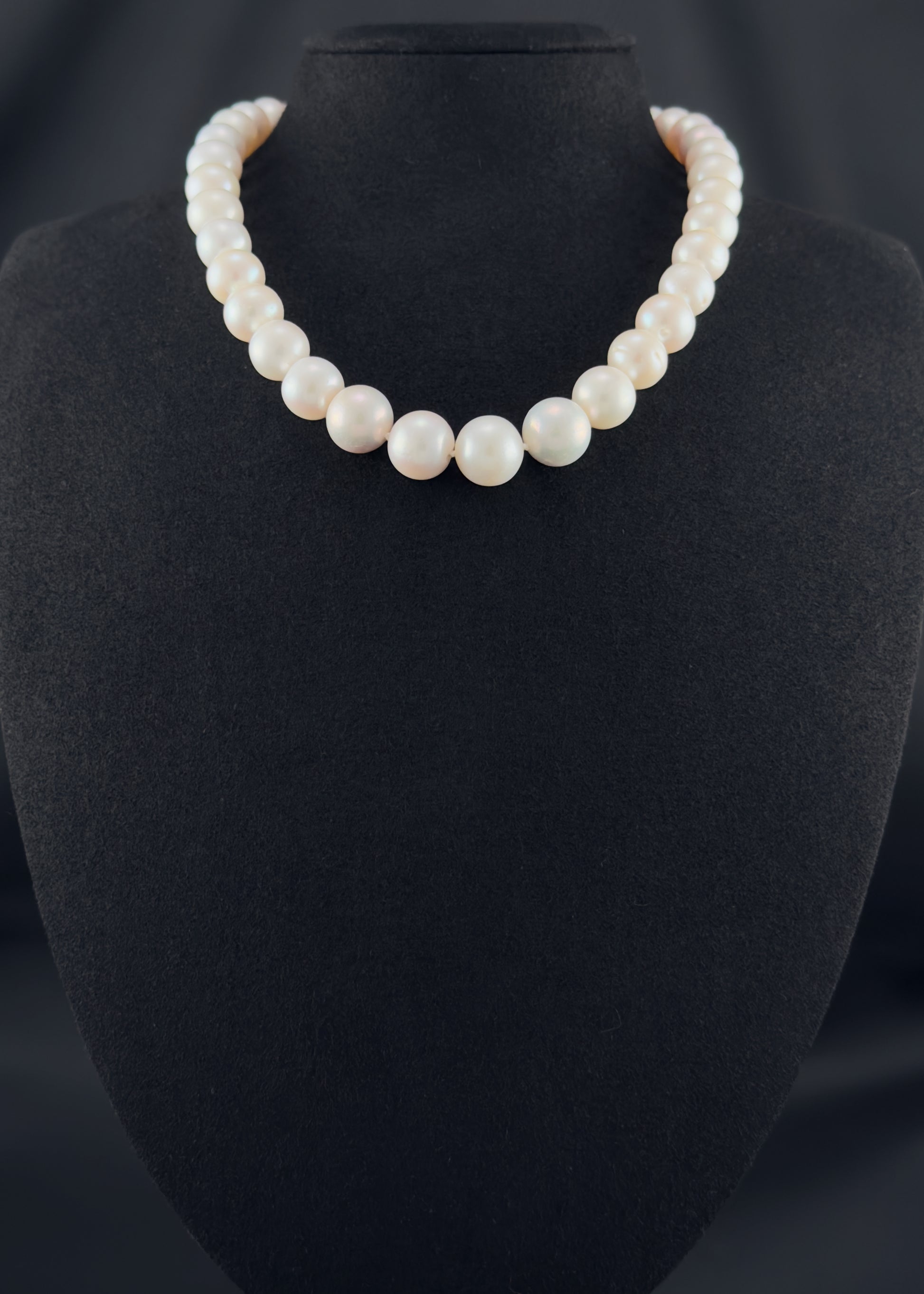 Cultured, South Sea white pearl strand necklace, exhibited on black suede, fair reflection, 9.5-12.5mm, 16", sterling silver clasp.