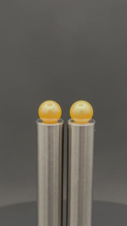 South Sea Deep Gold Stud Pearl Earring | AAA (Standard) Grade | 18K Gold | 9.5mm