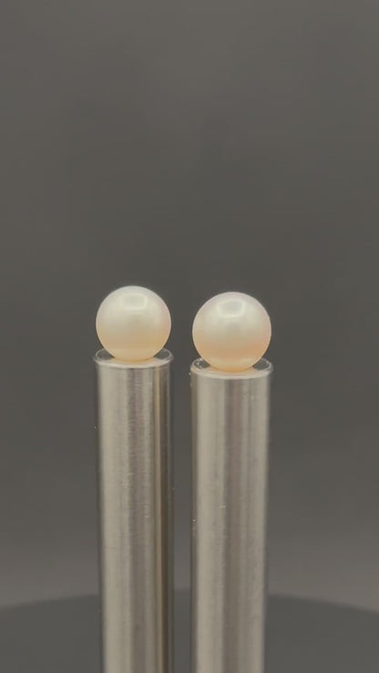 South Sea White Stud Pearl Earring | AAAA (Superb) Grade | 18K White | 11-11.9mm