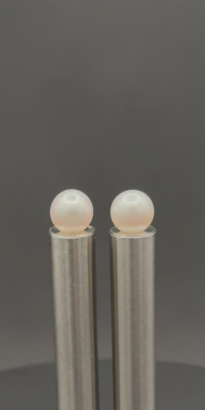 South Sea White Stud Pearl Earring | TOP (Pinnacle) Grade | 18K White | 10.5-11mm