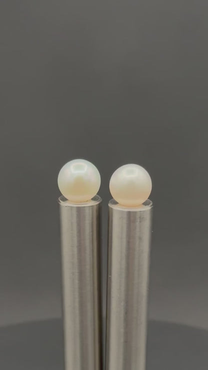 South Sea White Stud Pearl Earring | AAA (Standard) Grade | 18K Gold | 11mm