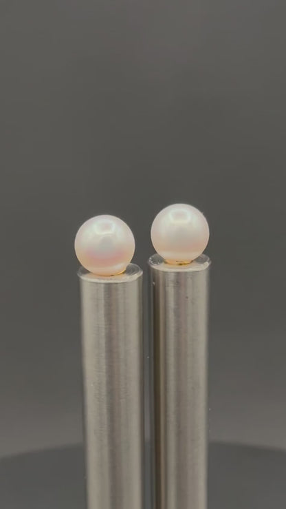 South Sea White Stud Pearl Earring | AAAAA (Excellent) Grade | 18K White | 10.5-11mm